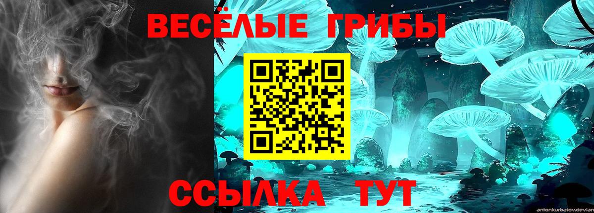 MDMA Ярославль