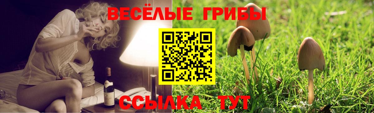 Галлюциногенные грибы Magic Shrooms  закладка  Ярославль  Вход с VPN  Галлюциногенные грибы GOLDEN TEACHER 