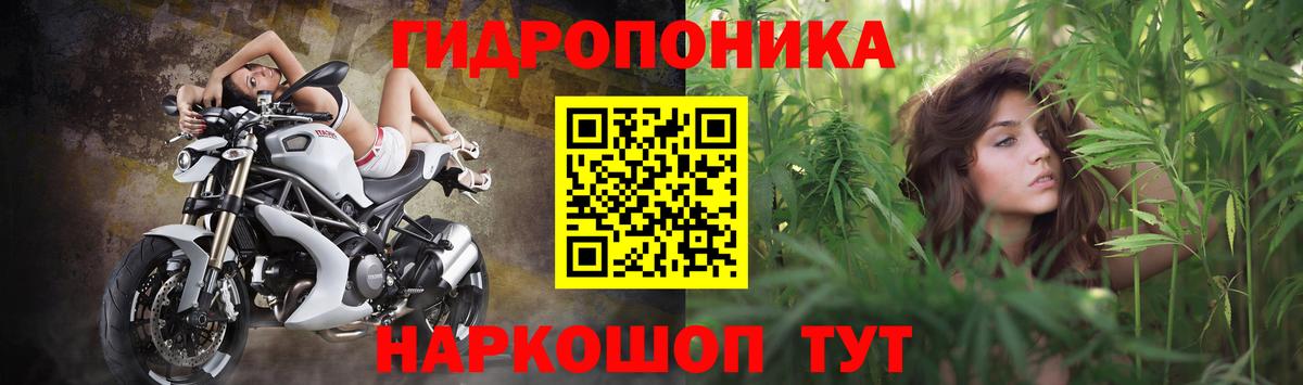 Ярославль  Канабис план  Шишки марихуана LSD WEED  Канабис AK-47  Вход с VPN 